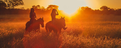 caballo